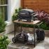 Εικόνα της Ψησταριά Υγραερίου Weber® Q 2100N