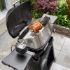 Εικόνα της Weber® Q Σετ Σούβλας Για Q2100N