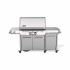 Εικόνα της Smart Ψησταριά Υγραερίου Weber® Summit® FS38X S - Stainless Steel