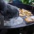 Εικόνα της Weber® Griddle Burger Press - Stainless Steel