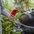Εικόνα της Weber® Smart Probe και Αισθητήρας Σχάρας