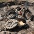 Εικόνα της Μαντεμένια Κατσαρόλα Camping 30.48 εκ. | 5,68 lt