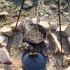 Εικόνα της Βαθιά Μαντεμένια Γάστρα Camping 9.5Lt | 35.56cm